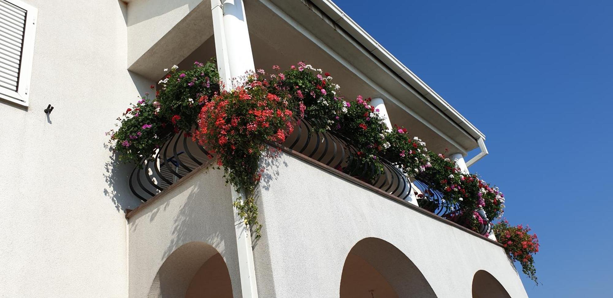 Eko Eko Rijeka Exterior foto